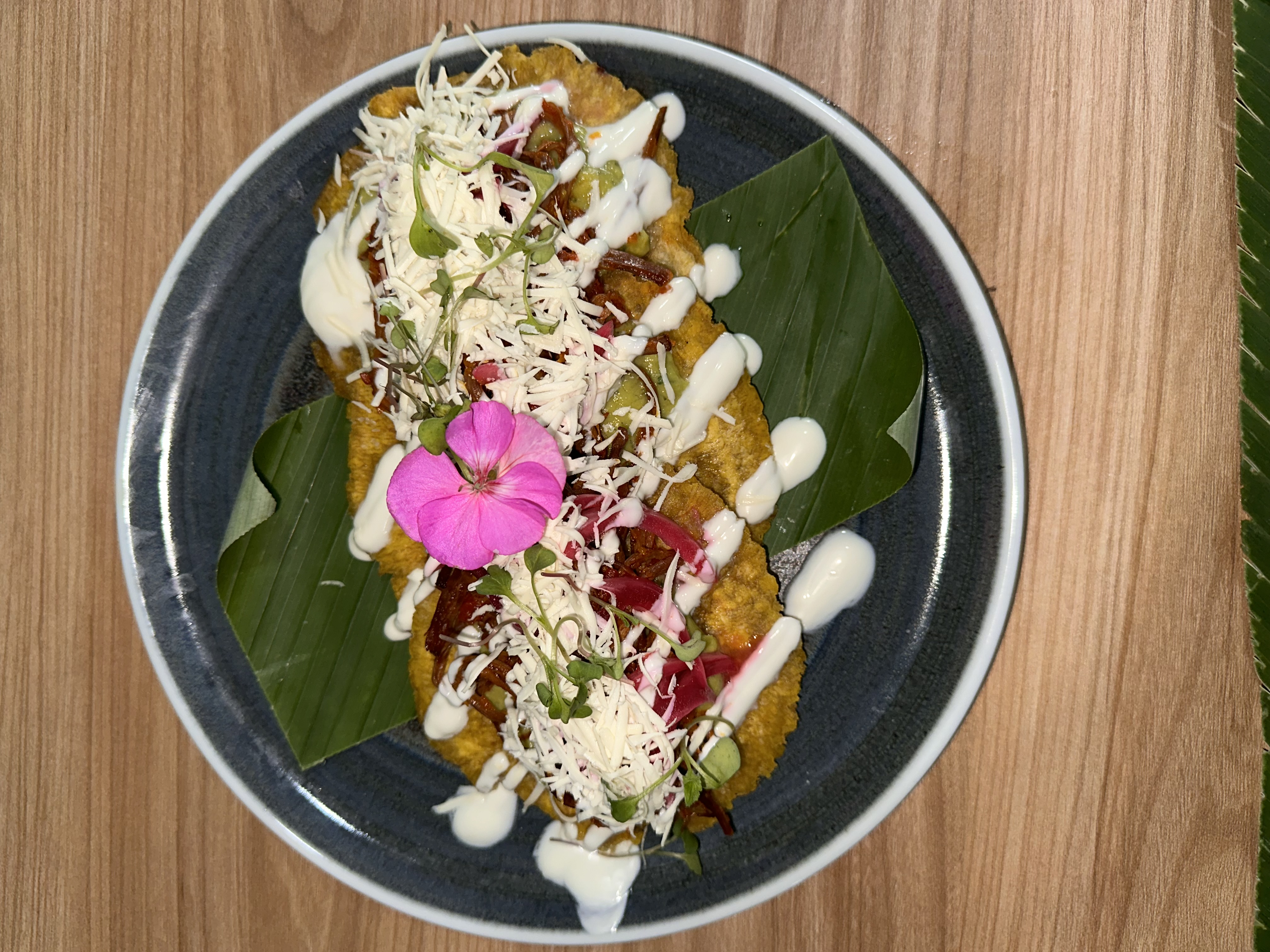 Patacon Pisaó