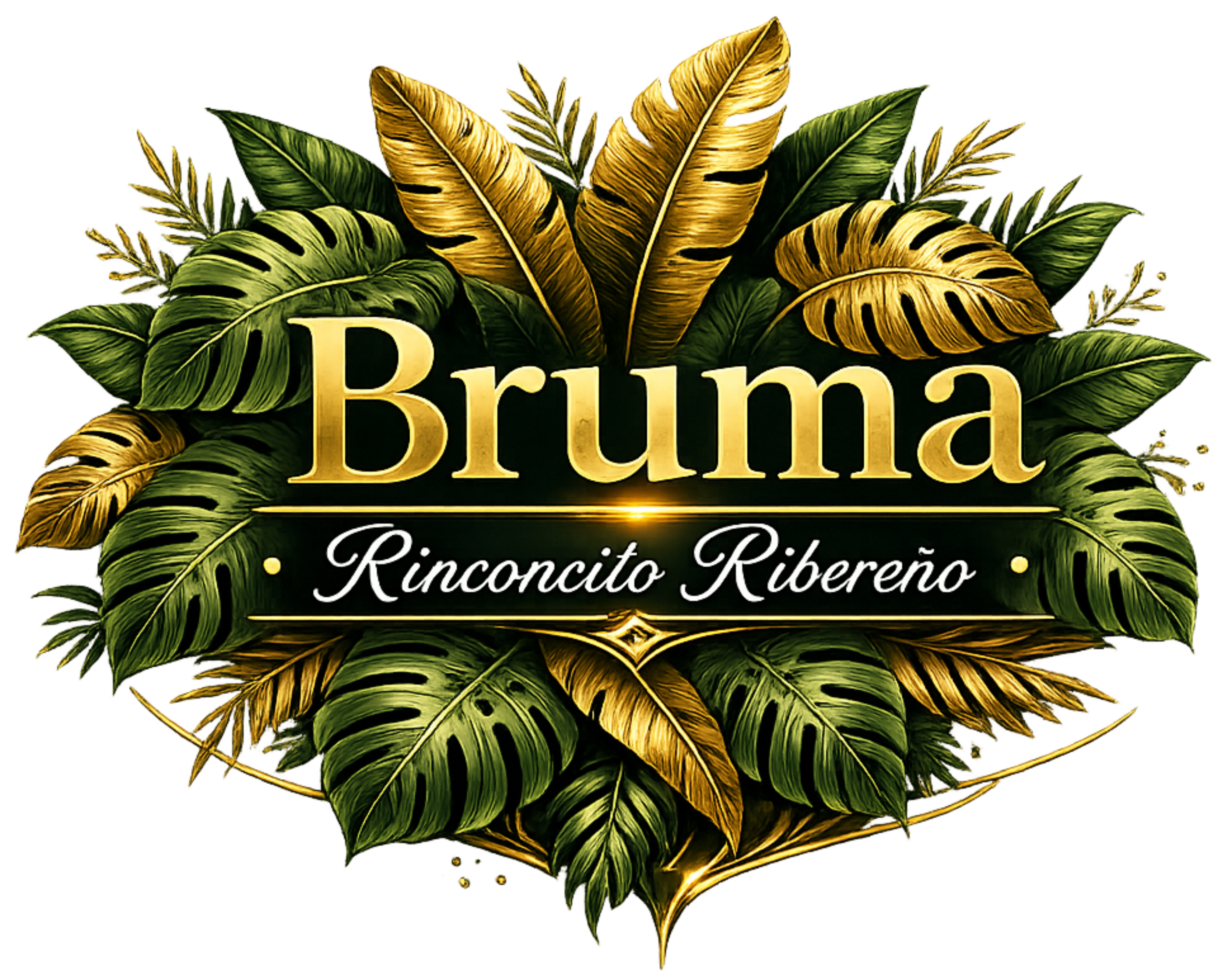 Logo Bruma